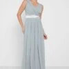 TFNC Surplice Neck Pleated Dress