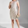 Adrianna Papell Bardot Embellished Dress