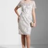 Adrianna Papell Embroidered Mesh Detail Dress