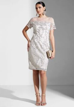 Adrianna Papell Embroidered Mesh Detail Dress