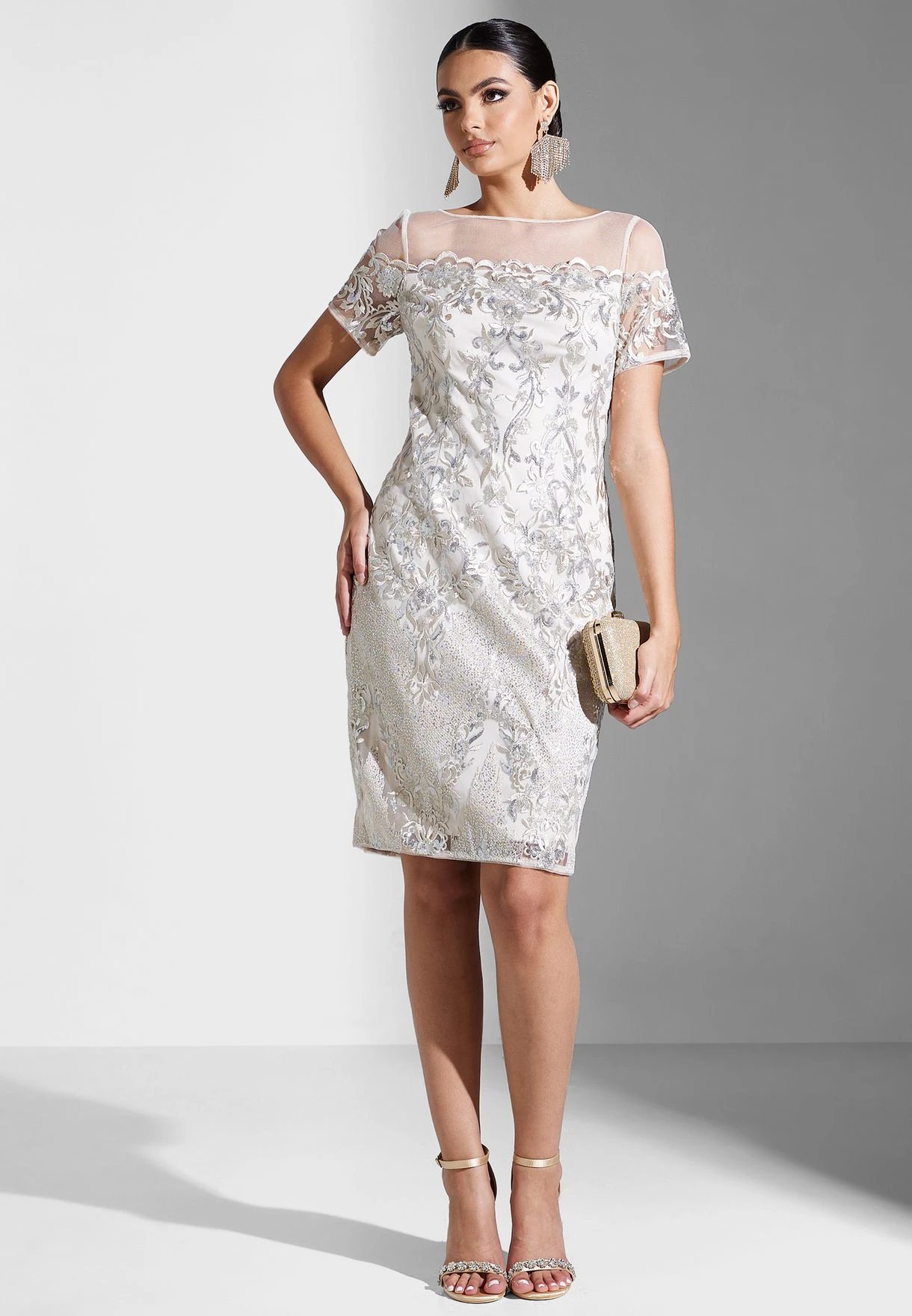 Adrianna Papell Embroidered Mesh Detail Dress 1 Adrianna Papell Embroidered Mesh Detail Dress