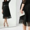 Mesh Sleeve Pleated Dress