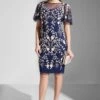 Adrianna Papell Embroidered Mesh Detail Dress