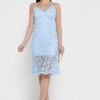 Plunge Neck Lace Detail Dress
