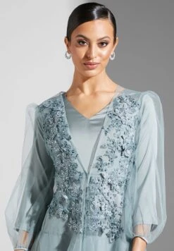 Embellished Puff Sleeve Dress -Silk Bloom Dresses Store 3 zoom desktop 821